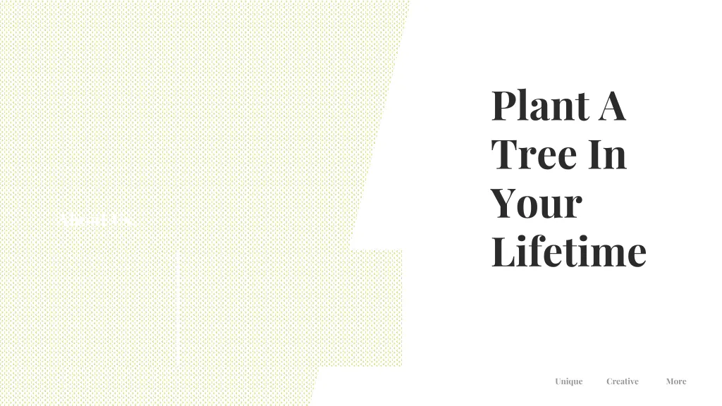 plant a tree in your lifetime