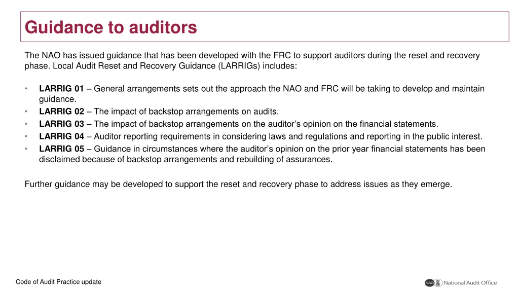 guidance to auditors