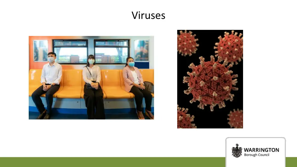 viruses