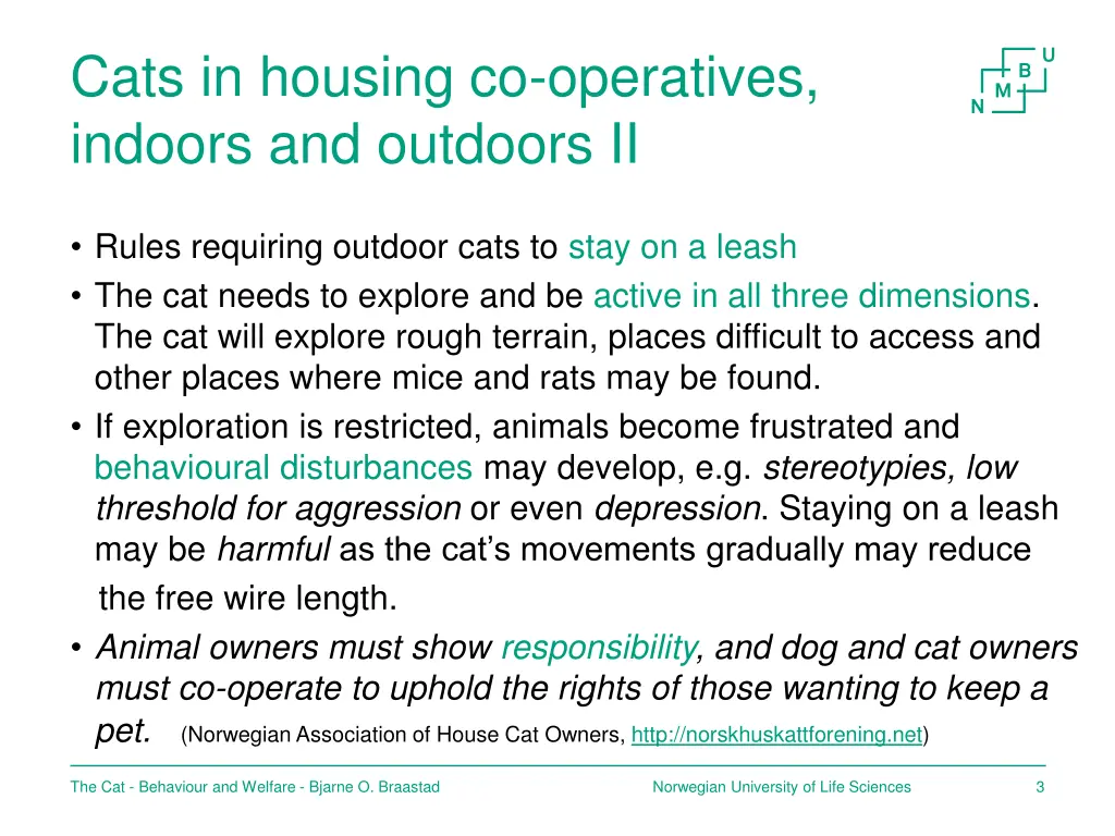 cats in housing co operatives indoors 1