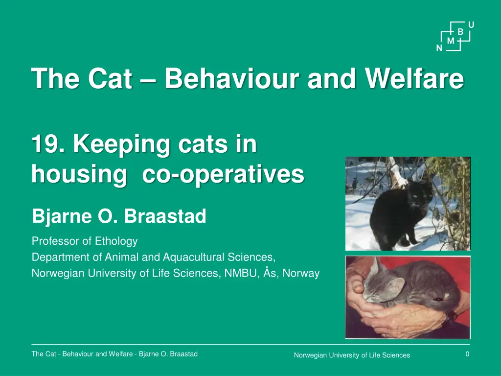 the cat behaviour and welfare