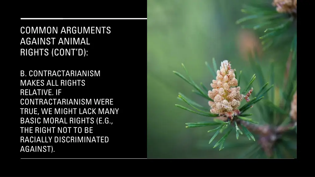 common arguments against animal rights cont d 1