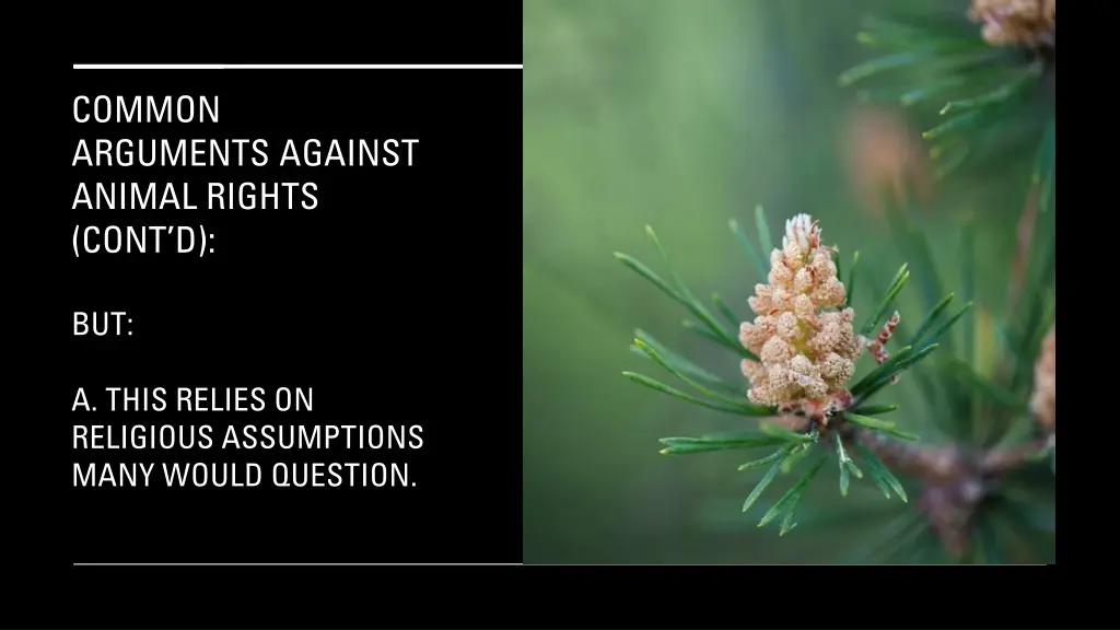 common arguments against animal rights cont d 10