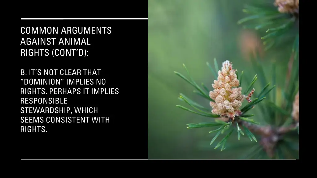common arguments against animal rights cont d 11