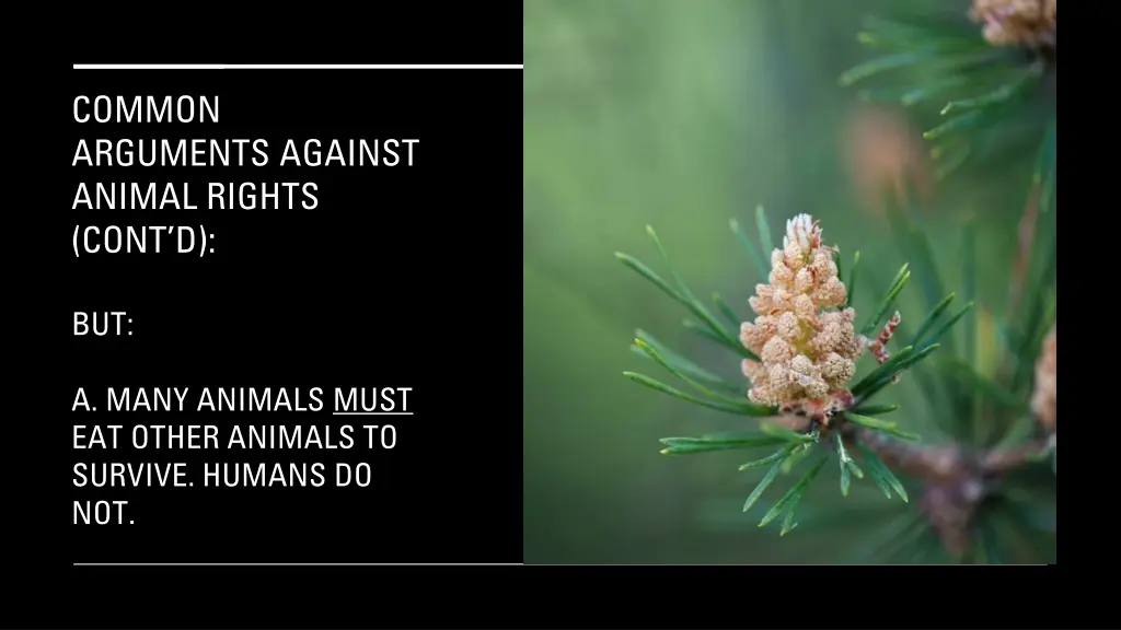 common arguments against animal rights cont d 3
