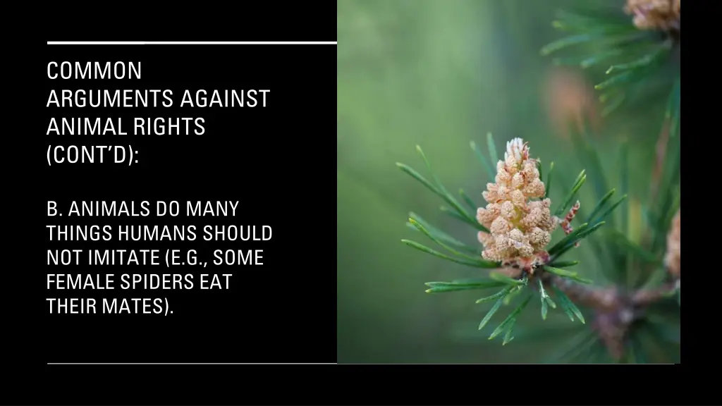 common arguments against animal rights cont d 4