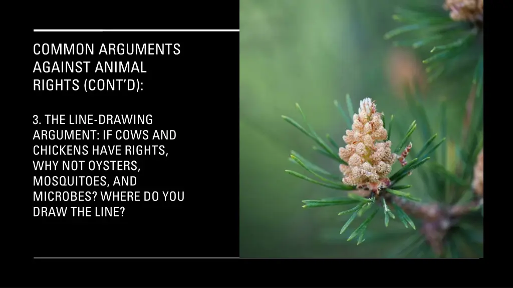 common arguments against animal rights cont d 5