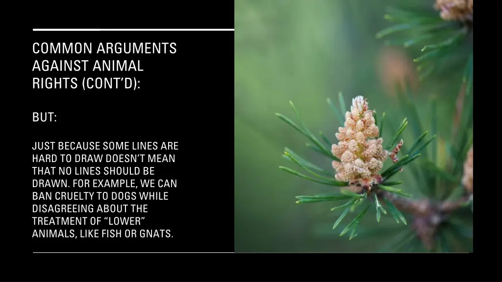 common arguments against animal rights cont d 6