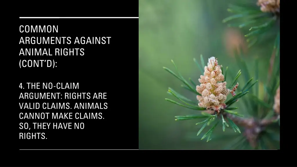 common arguments against animal rights cont d 7