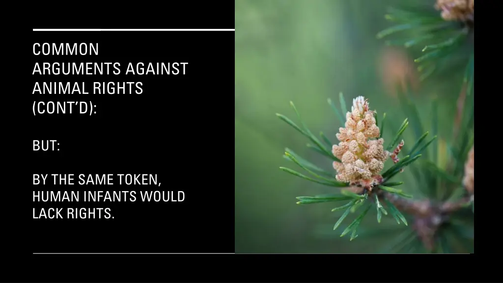 common arguments against animal rights cont d 8