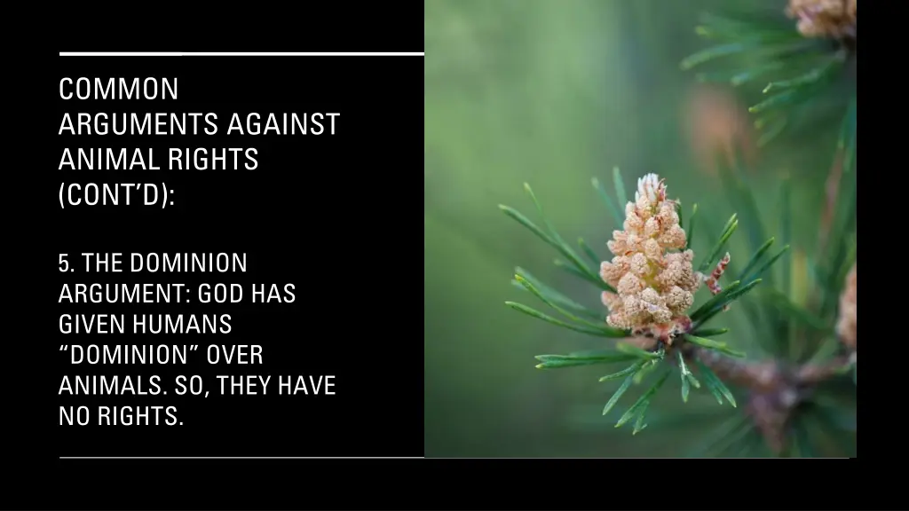 common arguments against animal rights cont d 9