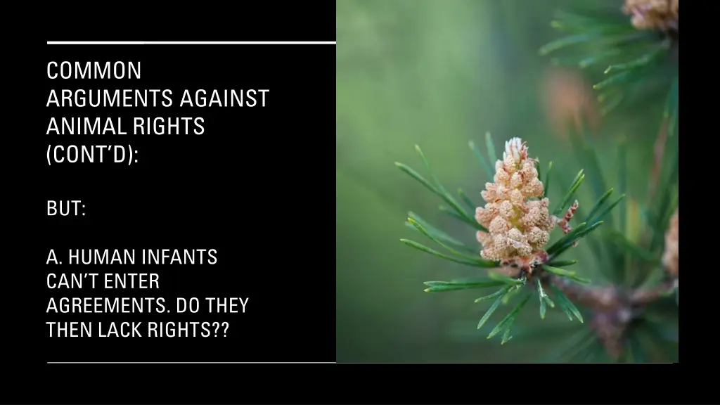 common arguments against animal rights cont d