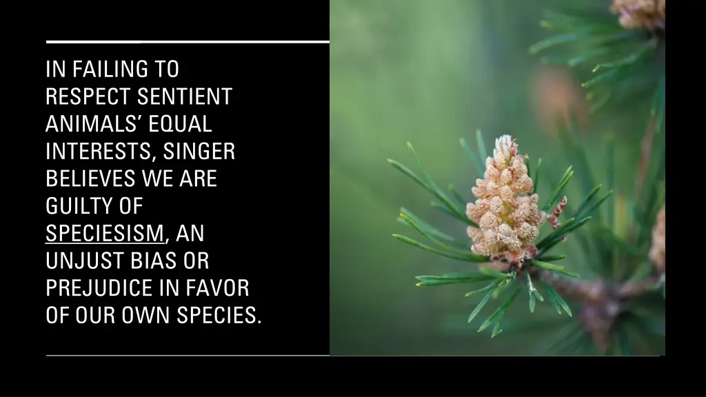 in failing to respect sentient animals equal