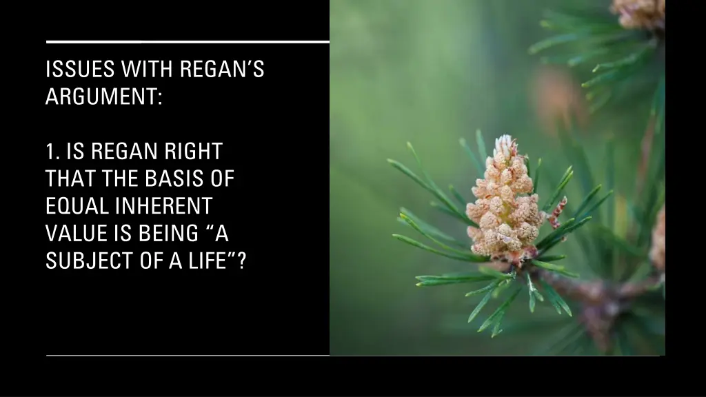 issues with regan s argument