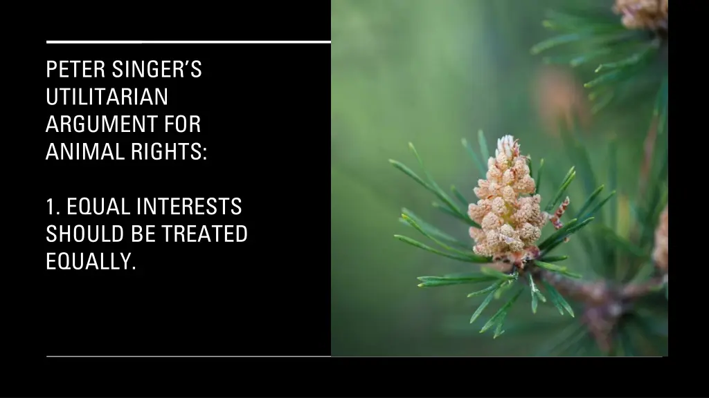 peter singer s utilitarian argument for animal