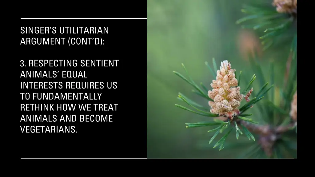 singer s utilitarian argument cont d