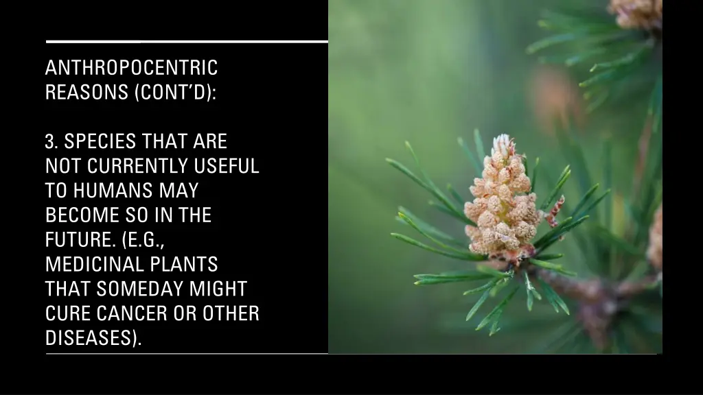 anthropocentric reasons cont d