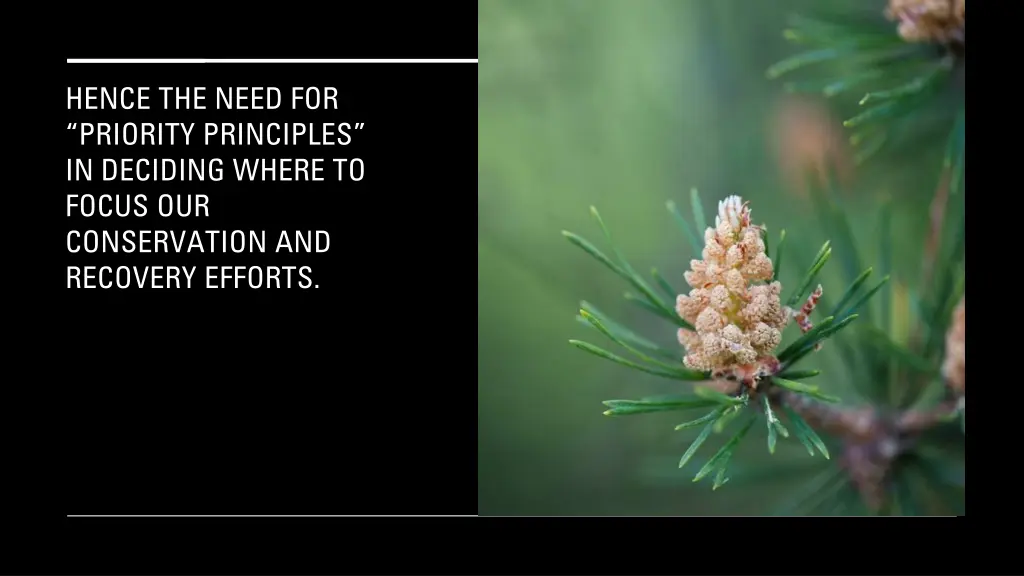 hence the need for priority principles