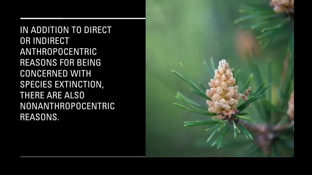 in addition to direct or indirect anthropocentric