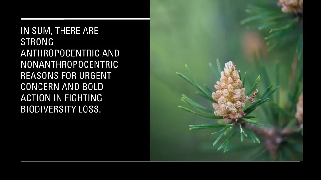 in sum there are strong anthropocentric