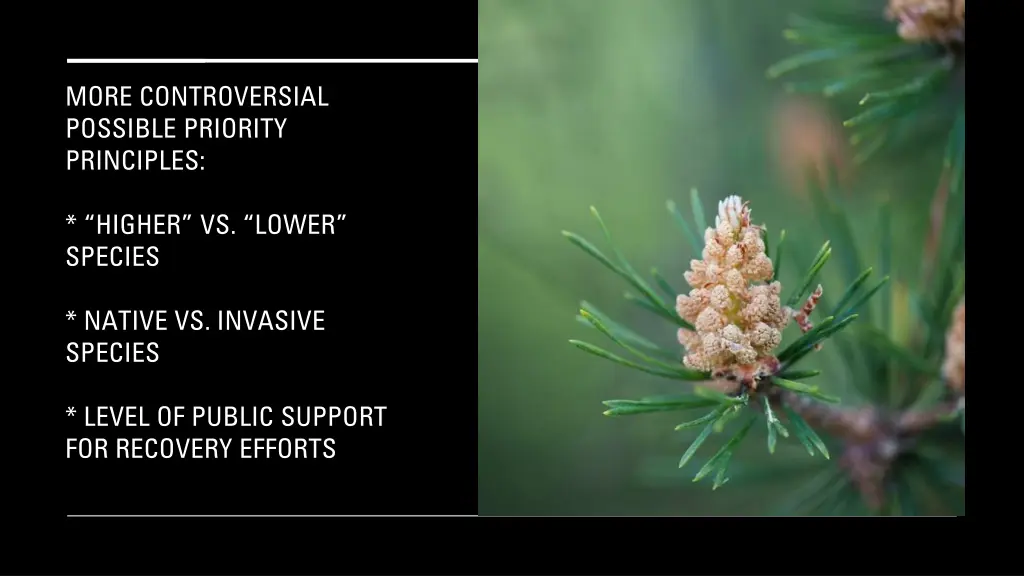 more controversial possible priority principles 1