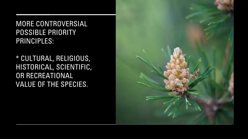 more controversial possible priority principles 2