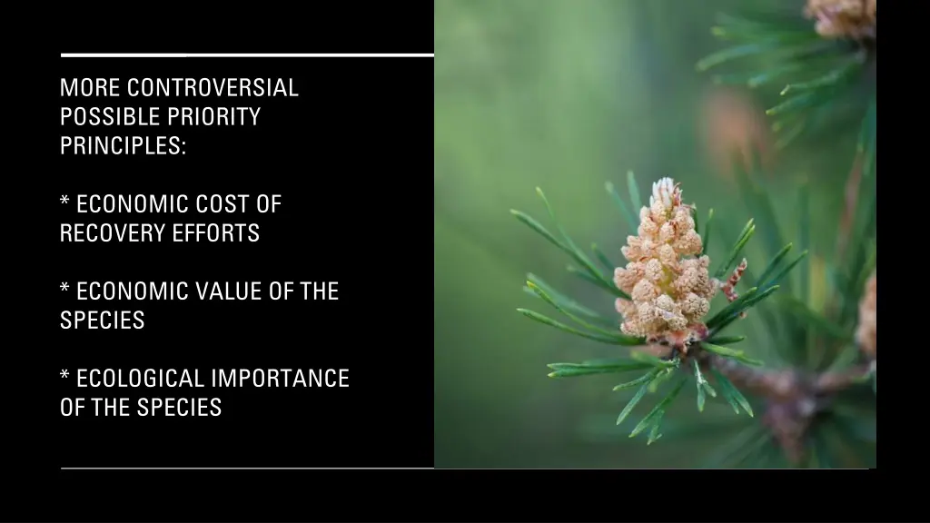 more controversial possible priority principles