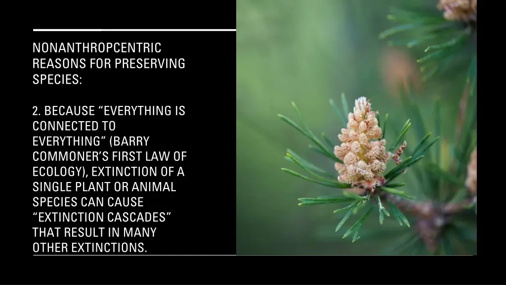 nonanthropcentric reasons for preserving species 1