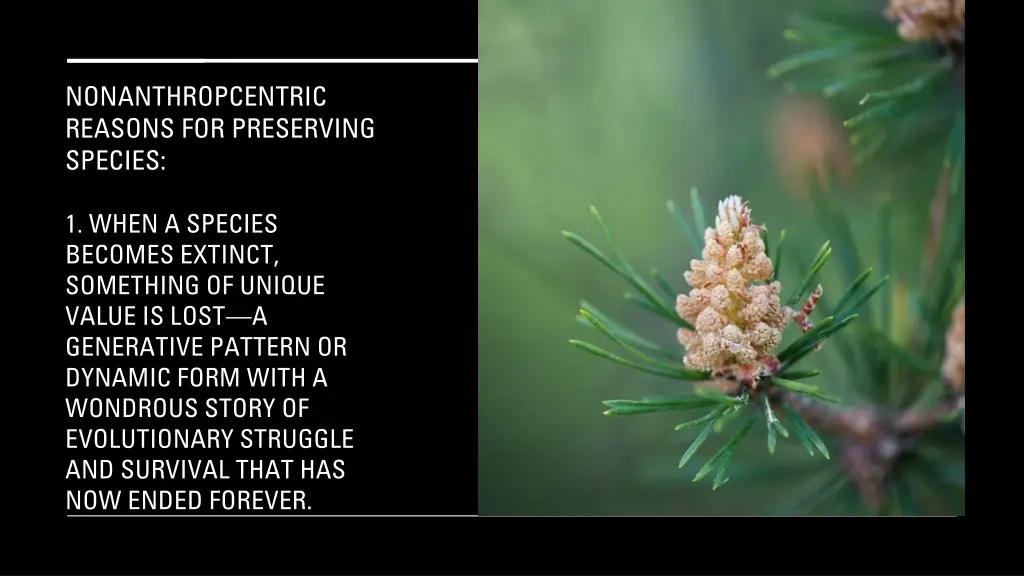 nonanthropcentric reasons for preserving species