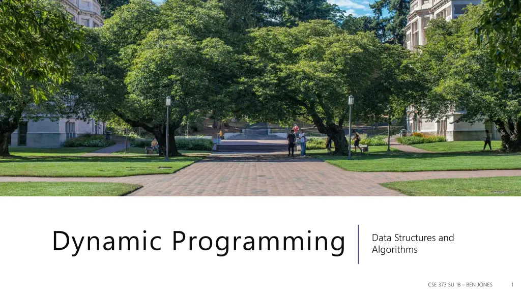 dynamic programming