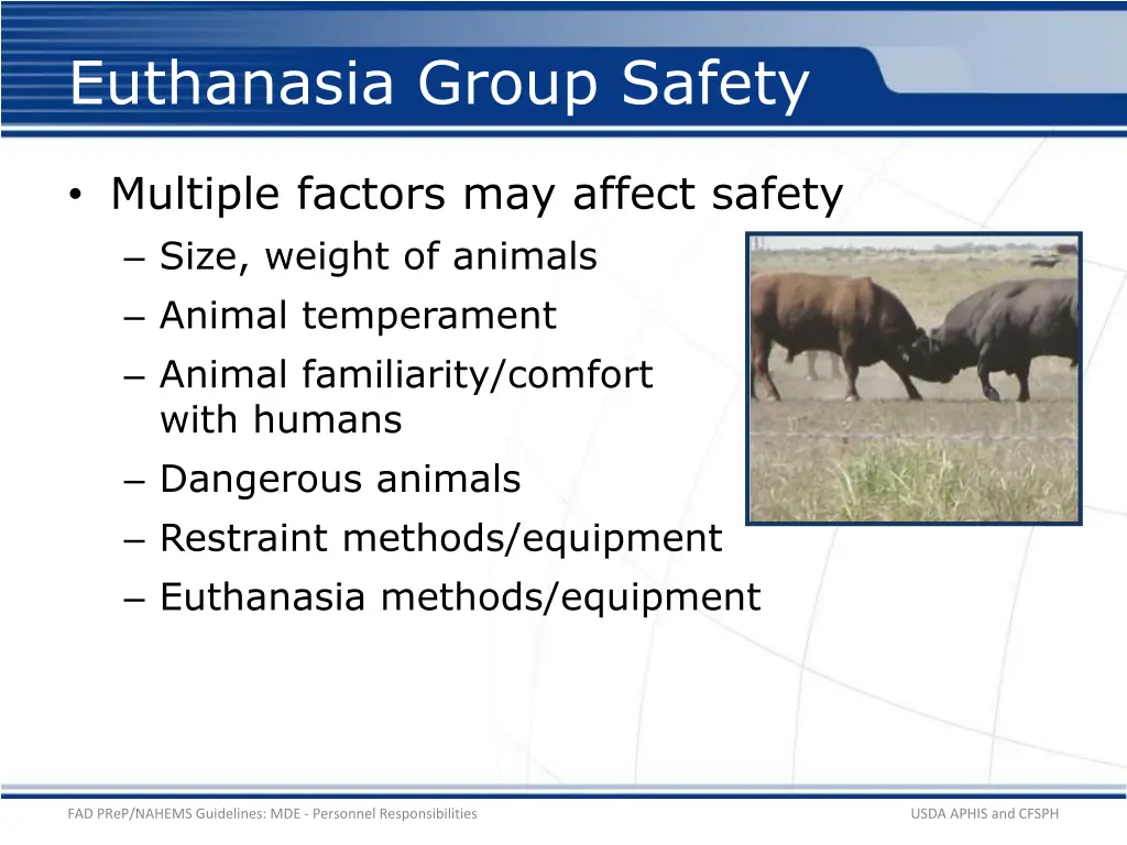 euthanasia group safety