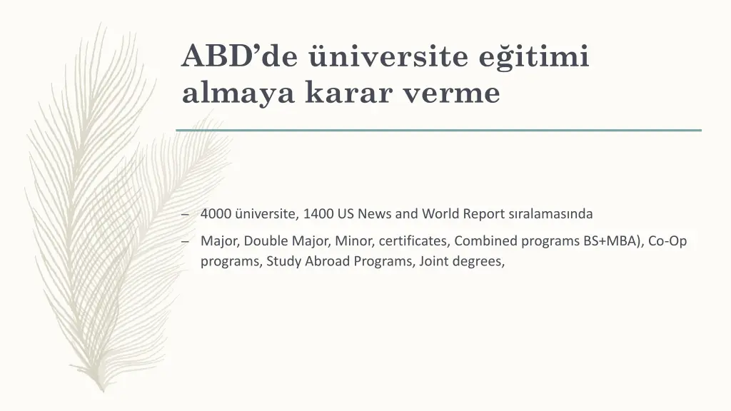 abd de niversite e itimi almaya karar verme