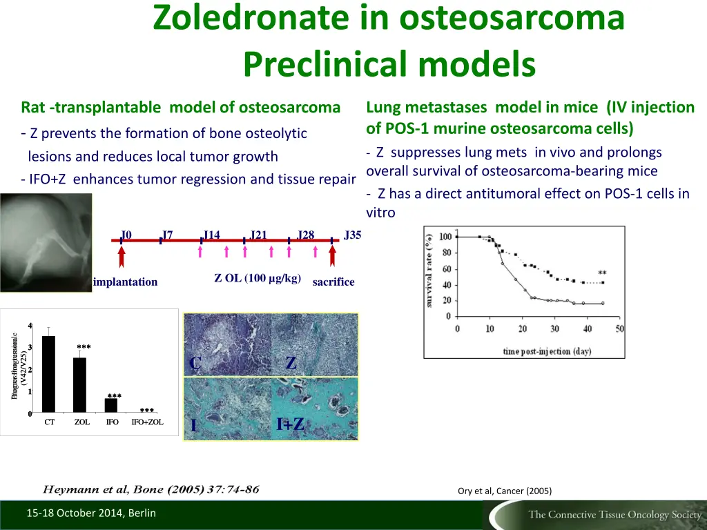 zoledronate in osteosarcoma preclinical models