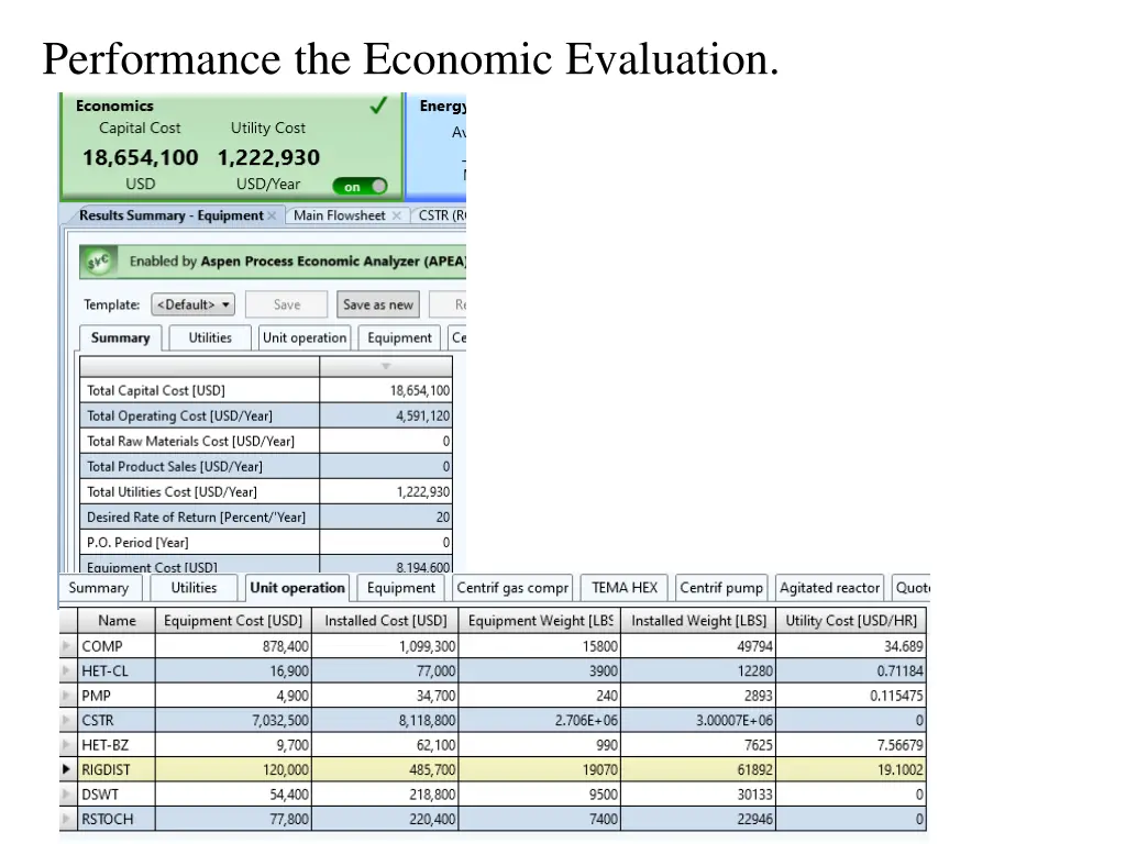 performance the economic evaluation