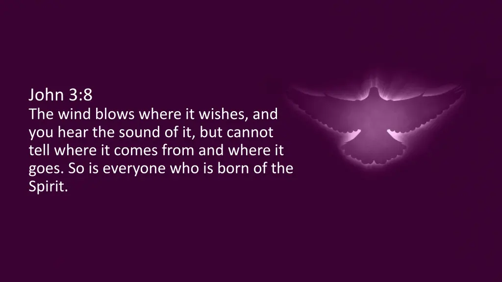 john 3 8 the wind blows where it wishes