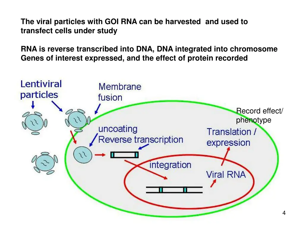 the viral particles with goi rna can be harvested
