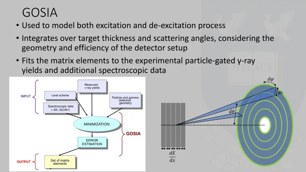 gosia used to model both excitation