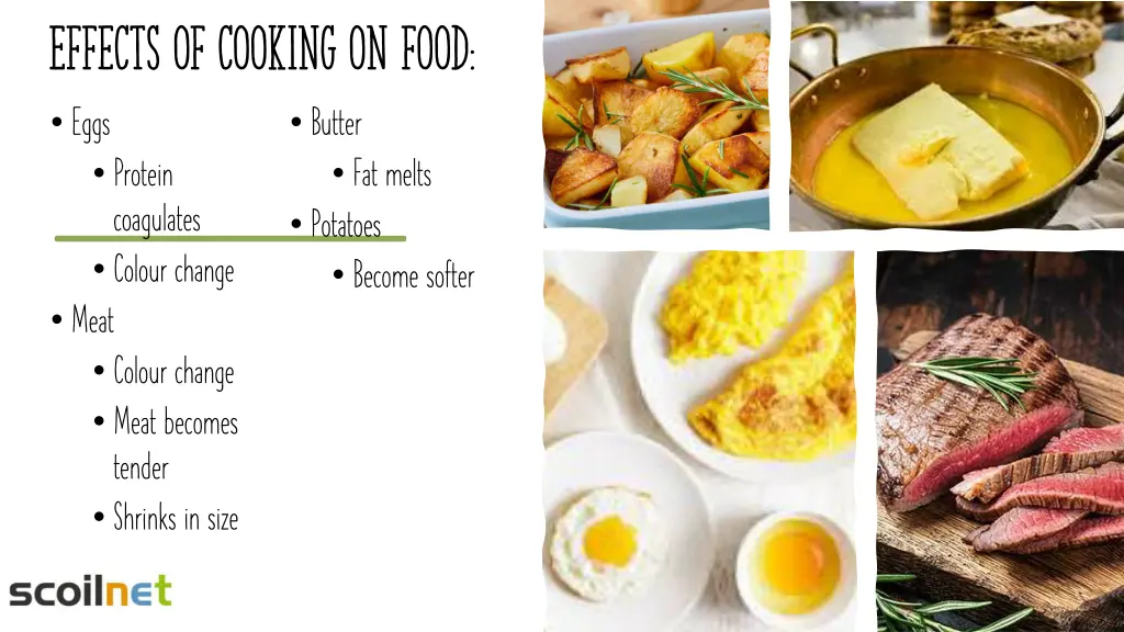 effects of cooking on food eggs protein