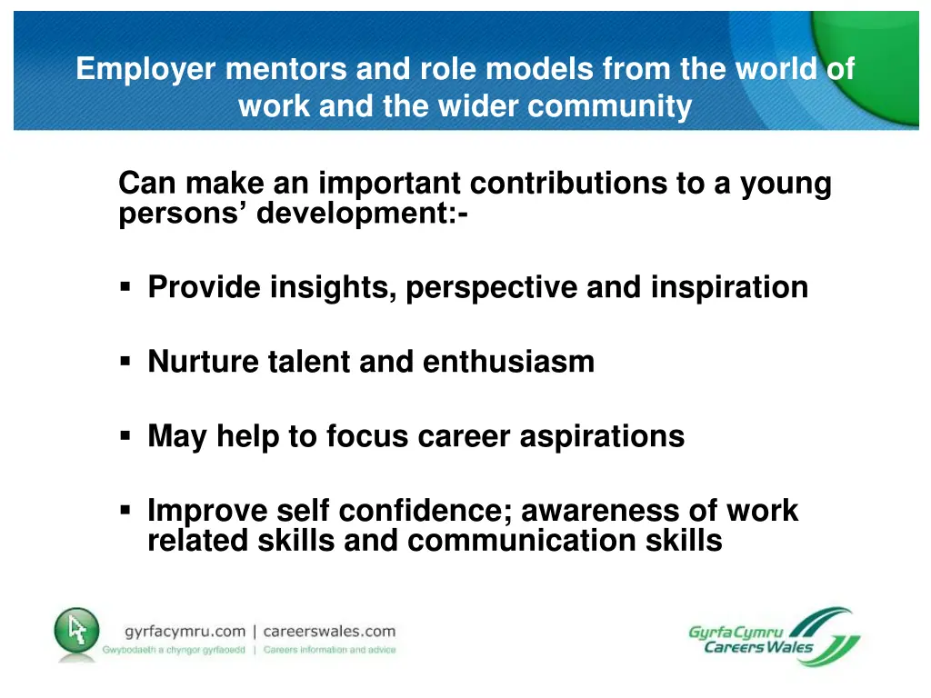 employer mentors and role models from the world
