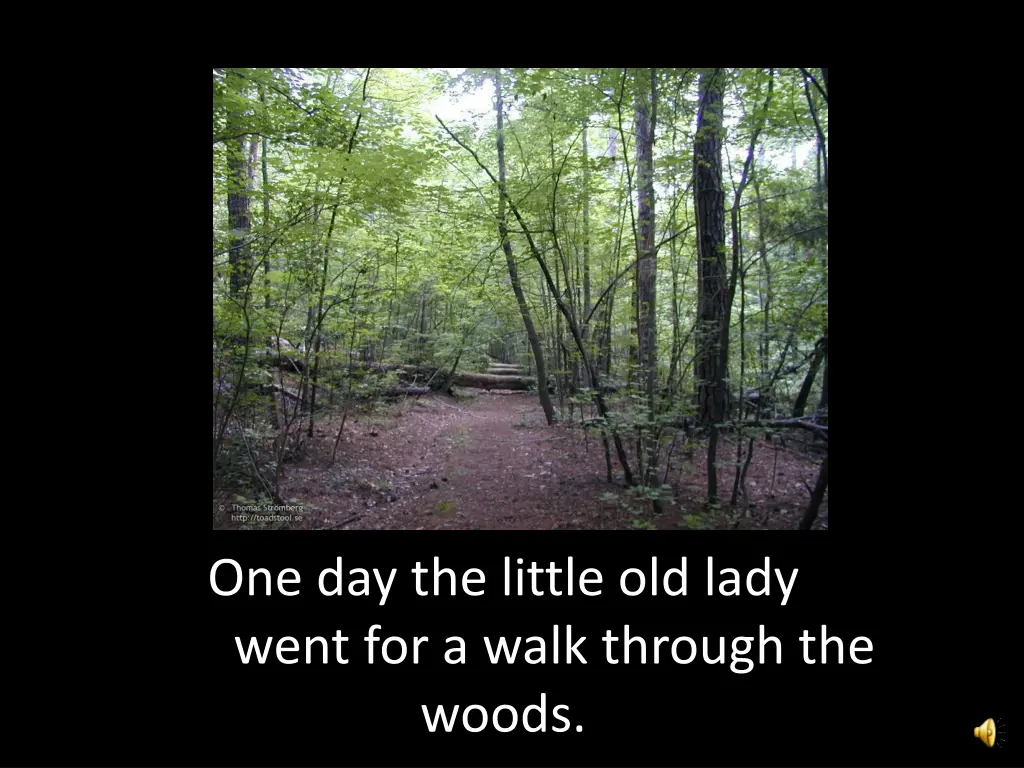 one day the little old lady went for a walk
