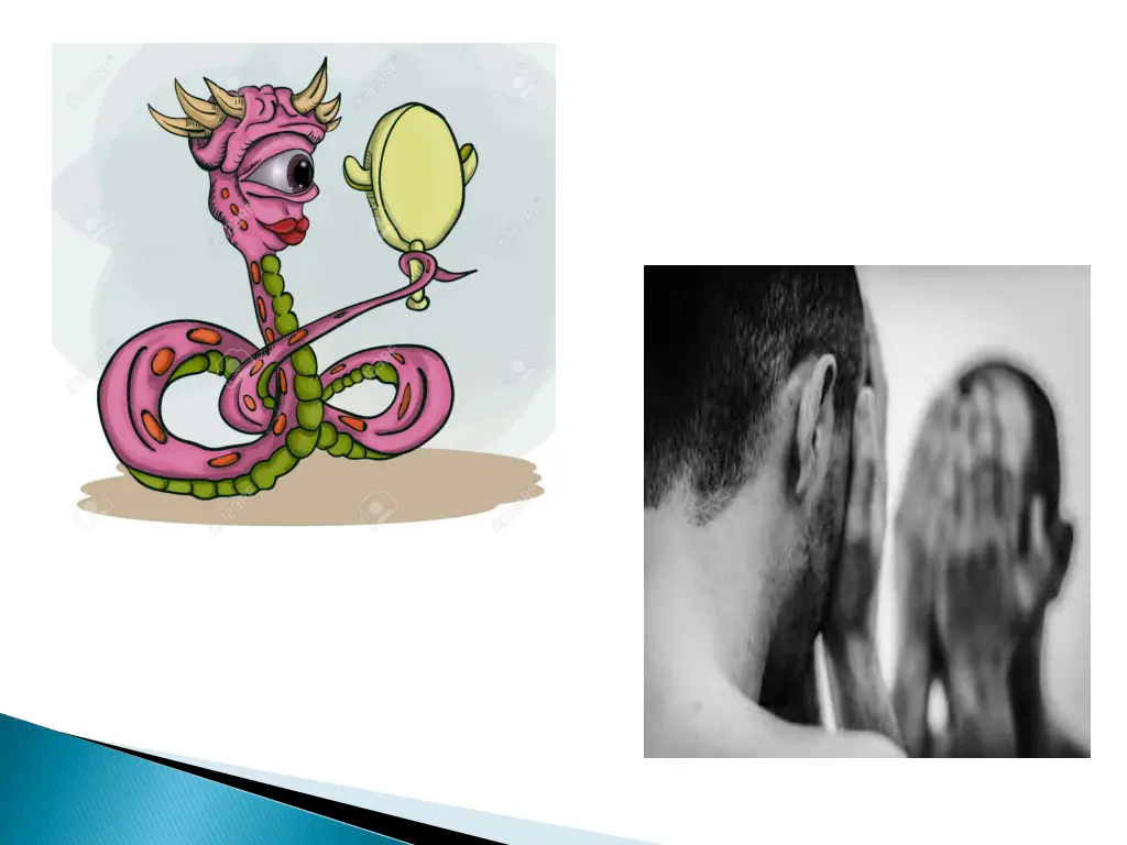 slide21