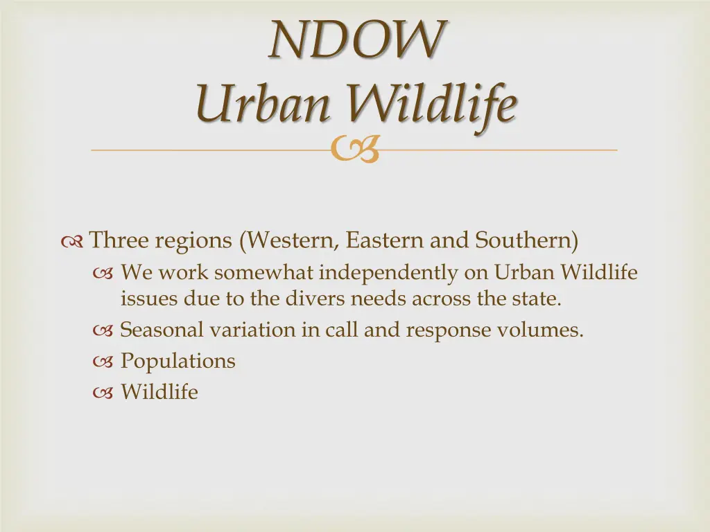 ndow urban wildlife 1