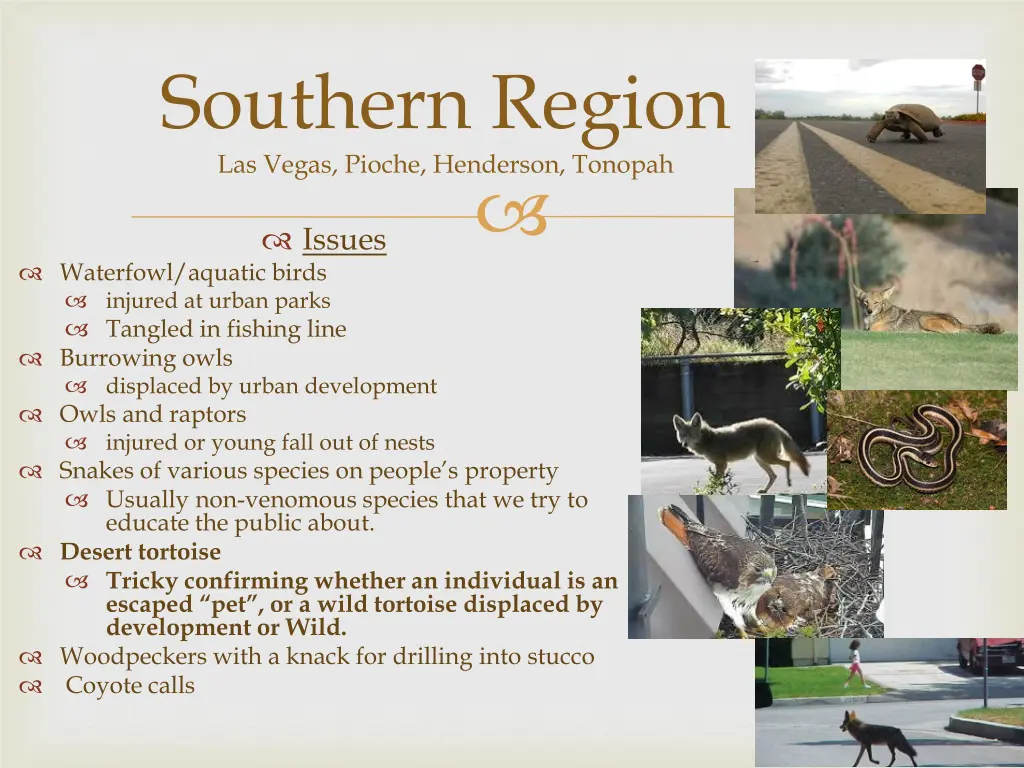 southern region las vegas pioche henderson tonopah