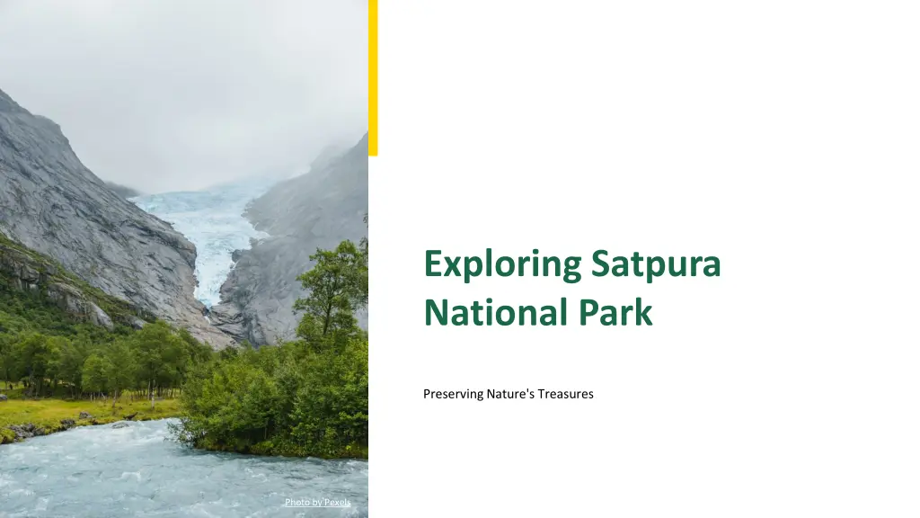 exploring satpura national park