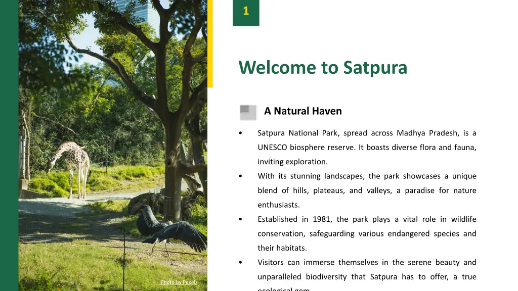 slide3