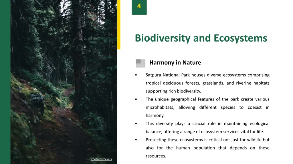 slide6