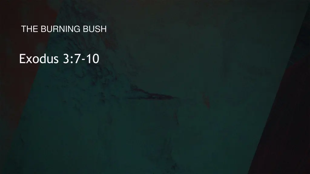 the burning bush 1