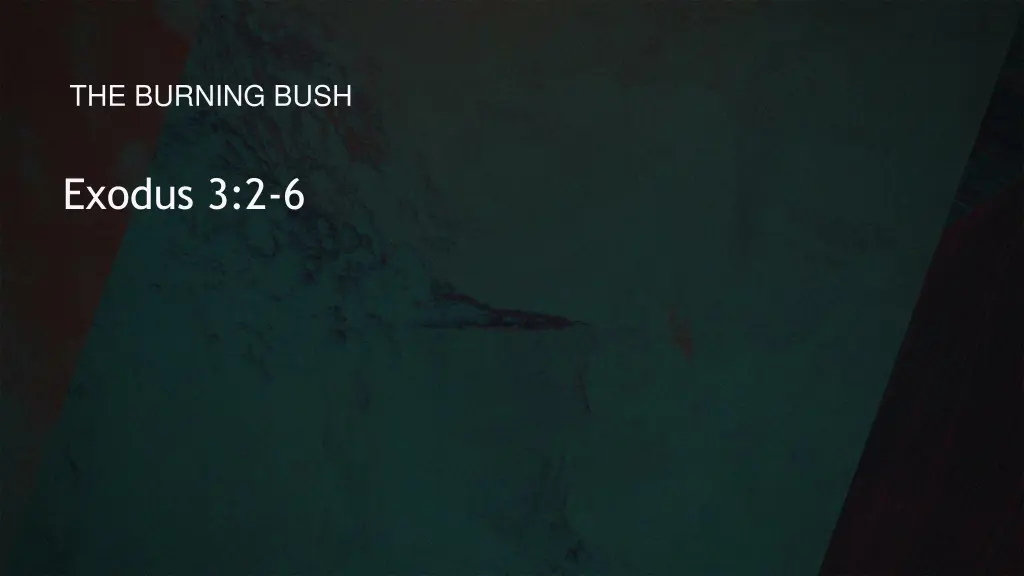 the burning bush