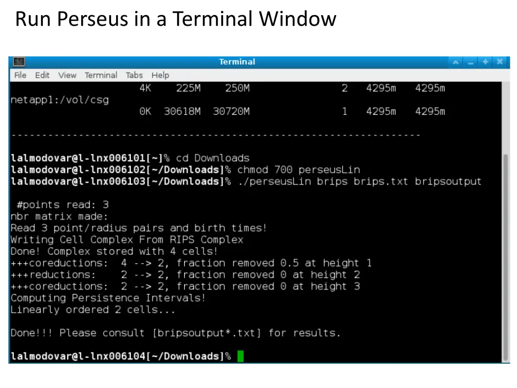 run perseus in a terminal window