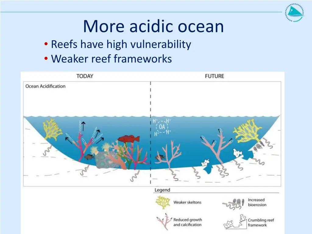 more acidic ocean reefs have high vulnerability